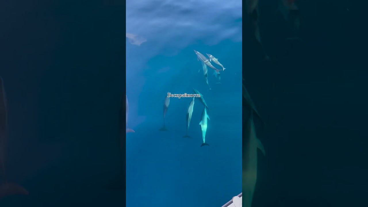 Поехали исполнять мечту? подробности в инстаграм (ссылка на канале) #shorts #ретрит #мальдивы #йога