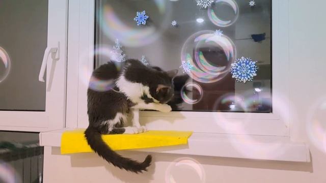Зима - холода но не для кошки на окошке 🐱 | снежинки смотреть онлайн