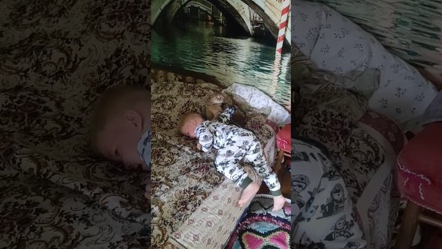 Как я могу не выложить такое😂/ Нашествие кошек🥴/ Первый урожай 😇 смотреть онлайн