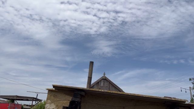 Соревнования голубей Дагестан! Голуби Камиля. Участник - 1 #pigeons #голуби #göyərçin #tauben