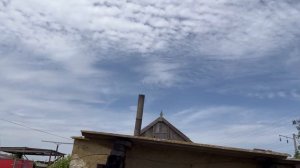 Соревнования голубей Дагестан! Голуби Камиля. Участник - 1 #pigeons #голуби #göyərçin #tauben