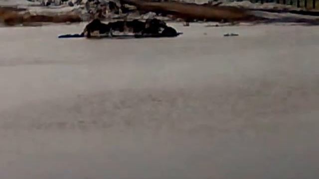 Атбасар весна 31,03,2014 лицей №9 смотреть онлайн