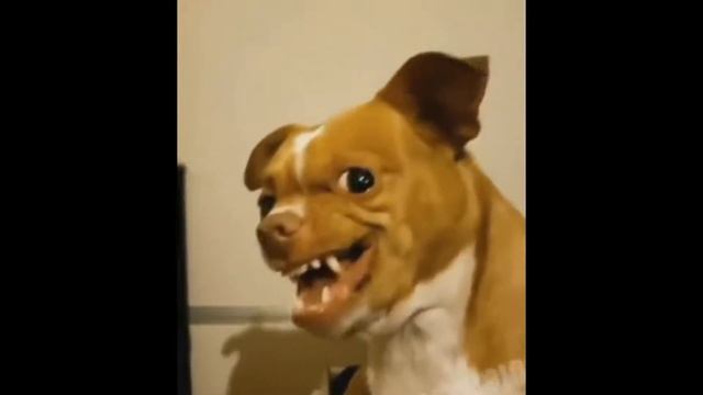 ПРИКОЛЫ 2019 ЛУЧШИЕ НОВИНКИ | ПОДБОРКА ПРИКОЛОВ смотреть онлайн