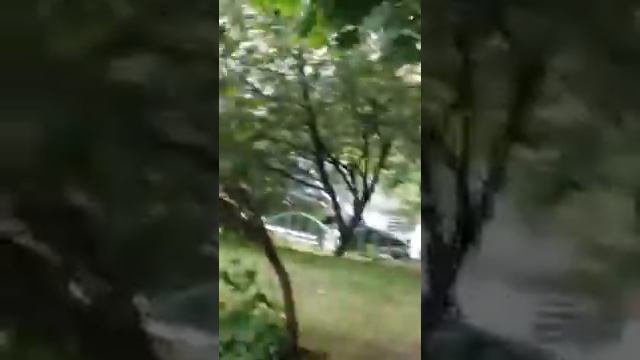 Чуть не заклевали смотреть онлайн