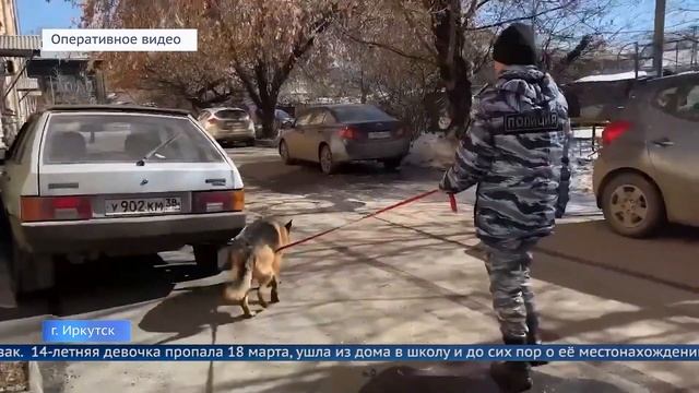 Разыскивается Любовь Воронцова! смотреть онлайн
