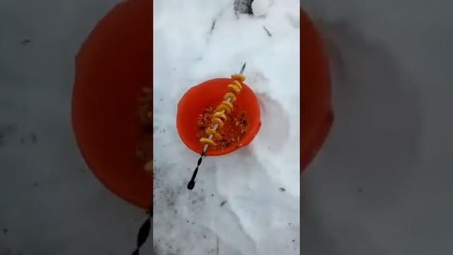 Армянский шашлык в тандире. Прикол смотреть онлайн