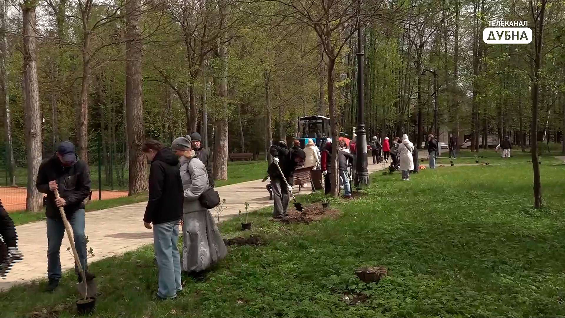 Ученики Лицея имени Кадышевского высадили сиреневую аллею на набережной Волги смотреть онлайн