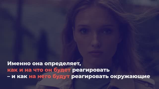 Коммуникация без стресса смотреть онлайн