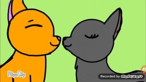 Топ 5 анимаций котов воителей
