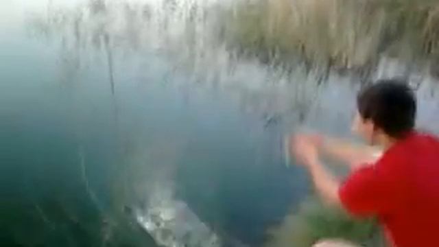 Рыбак прикол смотреть онлайн