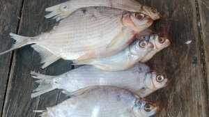 Вяленая рыба.Рецепт очень вкусной вяленой рыбы.