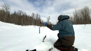 УЕХАЛ В ГЛУШЬ В ПОИСКАХ ХАРИУСА | ПРОВЕРЯЮ НОВУЮ ДЛЯ МЕНЯ РЕКУ НА НАЛИЧИЕ РЫБЫ