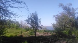 VID_20250428_161255.mp4