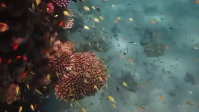 Робинзоны детский сад смотреть онлайн