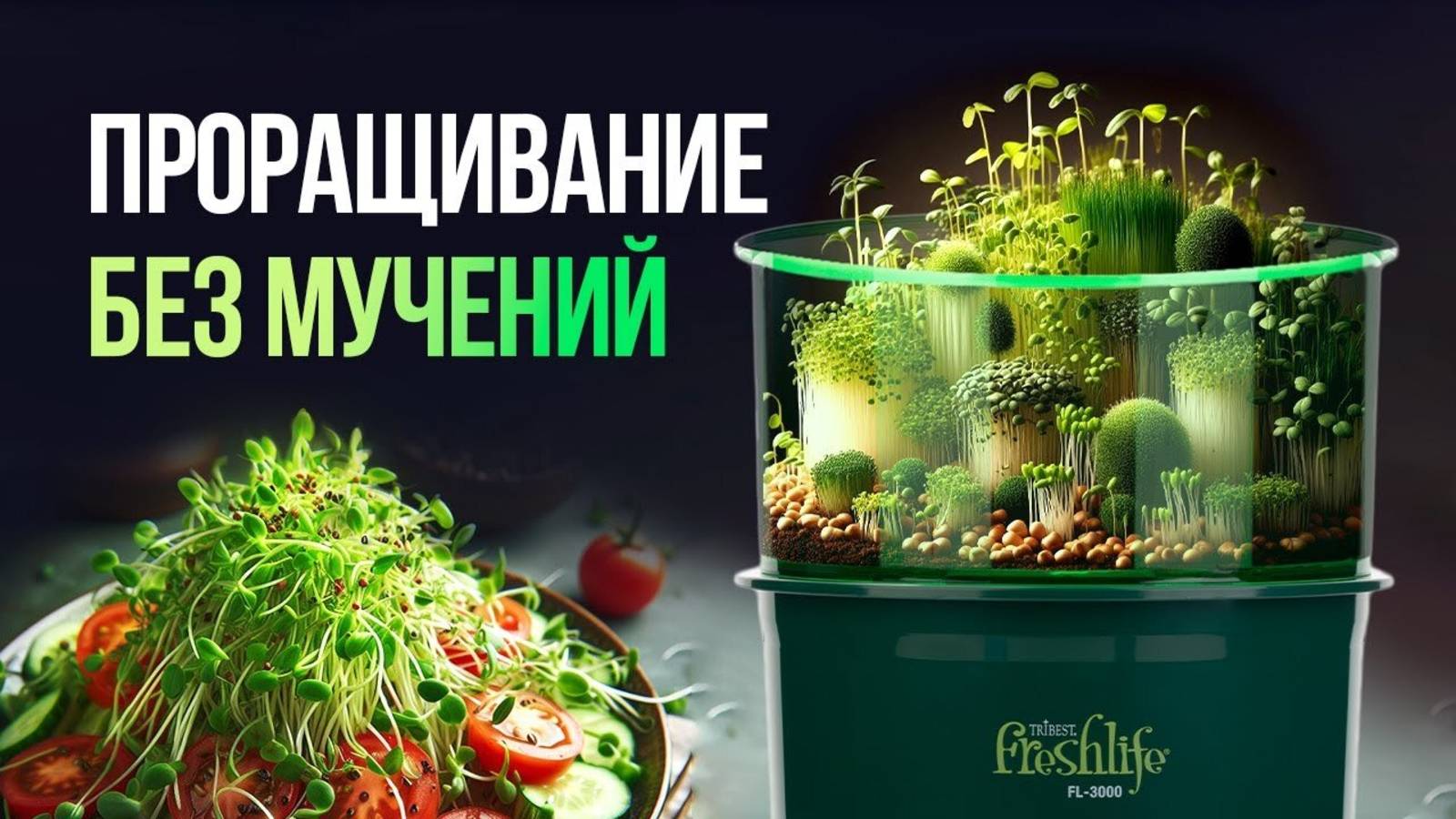 Проращивание без мучений. Как вырастить зелень дома без заморочек? Игорь расскажет:) смотреть онлайн