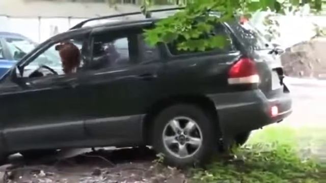 Ржачные русские приколы до слез смотреть онлайн