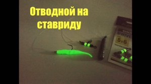 Отводной на ставриду