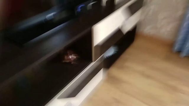 Приключения российских телеканалов в Останкино 8 смотреть онлайн