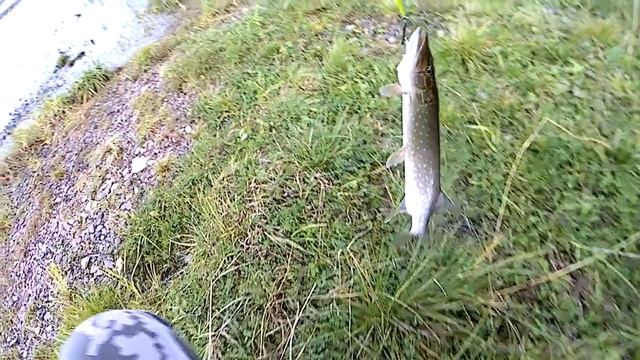 Моя первая щука в этом сезоне. смотреть онлайн