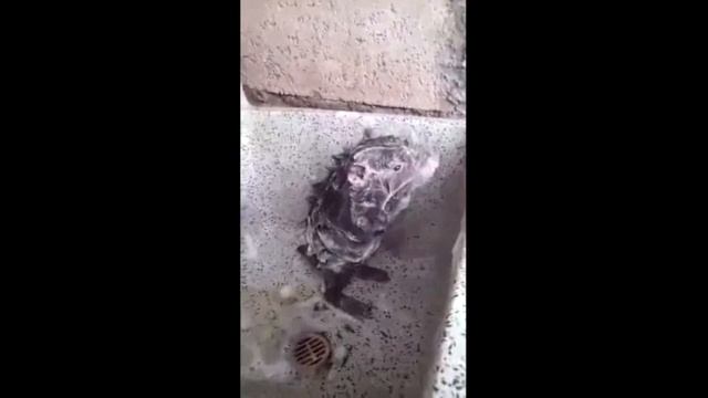 ЛУЧШИЕ ПРИКОЛЫ 2018. ВЫПУСК 5 смотреть онлайн