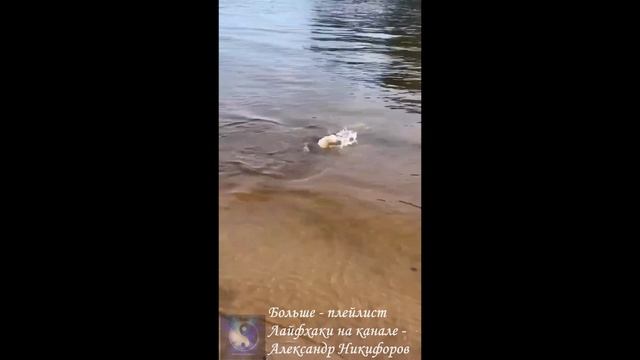 Рыбалка. Молодцы ребята смотреть онлайн