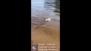 Рыбалка. Молодцы ребята