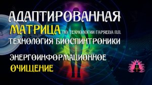 Энергоинформационное очищение 🎶 программа матрица по технологии Гаряева П.П ☀️ SoftRadio.ru