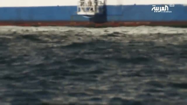 Exclusive Diamond Princess Ship / Yokohama - Corona Virus / Japan -Al Arabiya TV смотреть онлайн