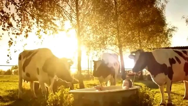 Молочный прикол смотреть онлайн
