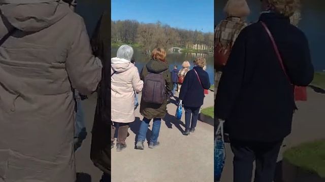 Гатчинский парк смотреть онлайн