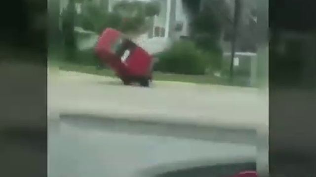 Смешные видео. Смешные приколы смотреть онлайн