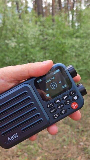 Радиоприёмник Choyong A8W смотреть онлайн