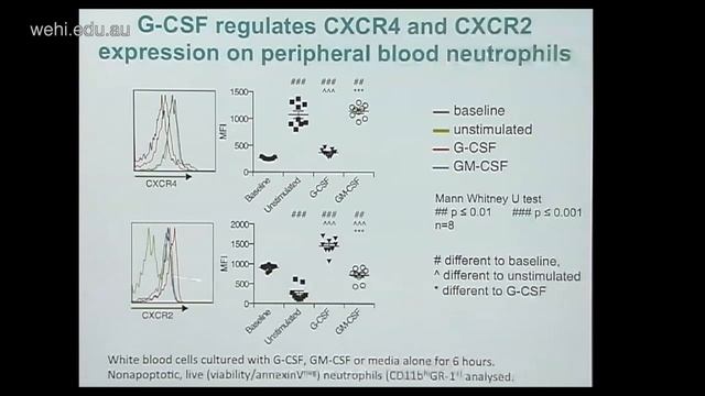 Goldberg G (2013): G-CSF and Neutrophils - Pathogenic Mediators in Autoimmune Uveitis смотреть онлайн