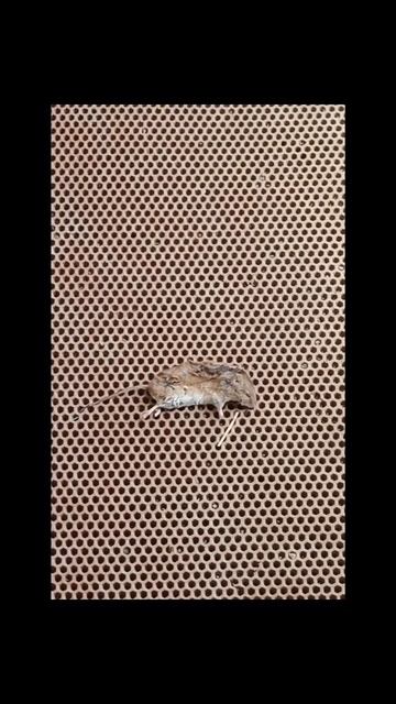 А кто это сделал???!!! 😂😼😱😼