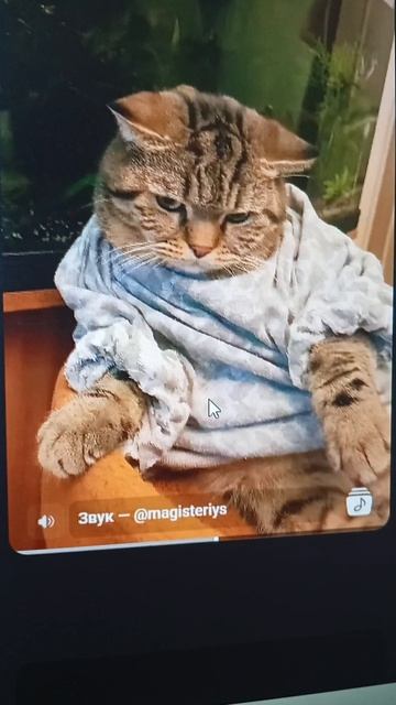 смешно да смотреть онлайн