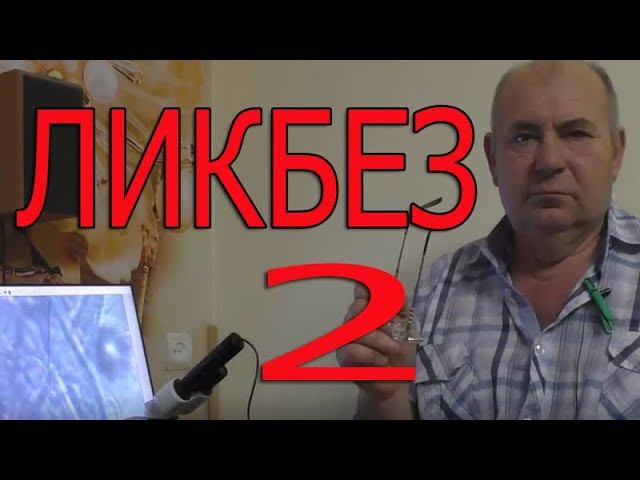 Ликбез 2 |Температурный режим при выращивании цыплят смотреть онлайн