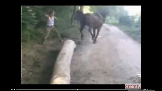 НЕ СТОИТ ЛУПИТЬ ОЛЕНЕВОДОВ В ЗАД МОГУТ ДАТЬ СДАЧИ ПО ШАМ смотреть онлайн