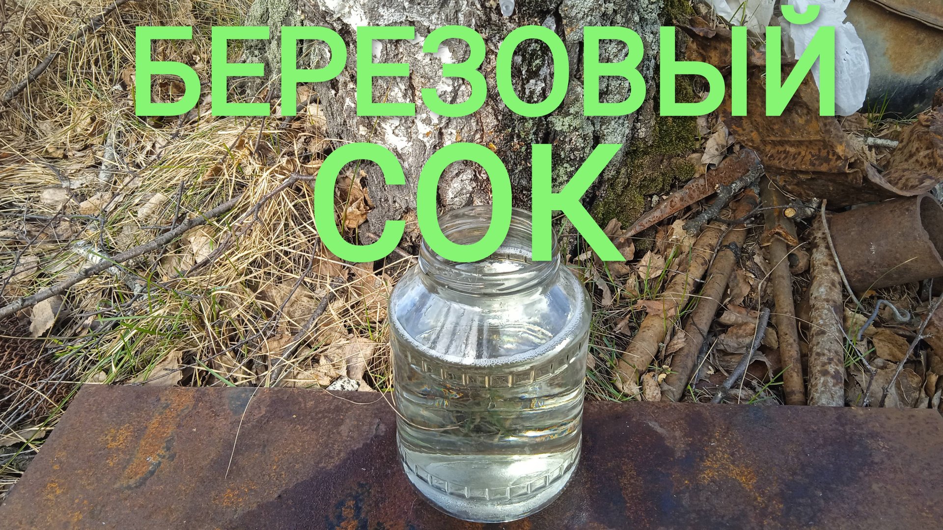 Сок березовый Когда его собирать смотреть онлайн
