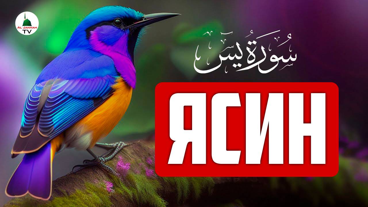 Сура Ясин. Коран. Слушать смотреть онлайн