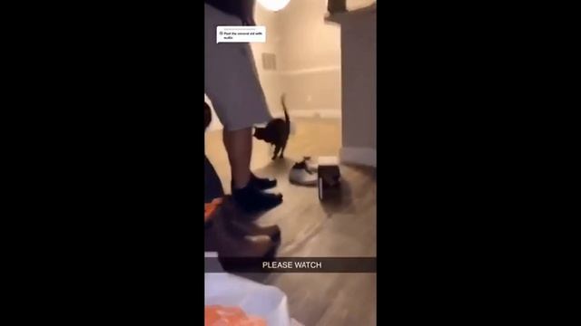 Смешные моменты. Ржака со всего интернета. Смотри что творят смотреть онлайн