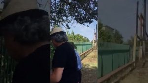 Алимет халу