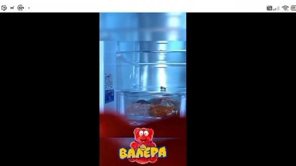 nikitos26062017@gmail.com