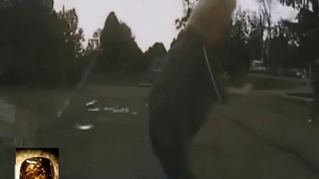 ПРИКОЛЫ! ОСТОРОЖНО! БАБЫ ДУРЫ 7! смотреть онлайн