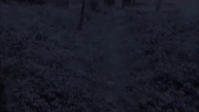 Dow Hill Haunted Night Safari 3 ভুতুরে শহর भूतीया शहर смотреть онлайн