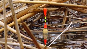 КРУПНЯК В ДЕБРЯХ ТРАВЫ на МОЁМ МЕСТЕ! ОНИ ЗАГИБАЮТ УДОЧКУ СИБИРИЯ! Рыбалка на поплавок