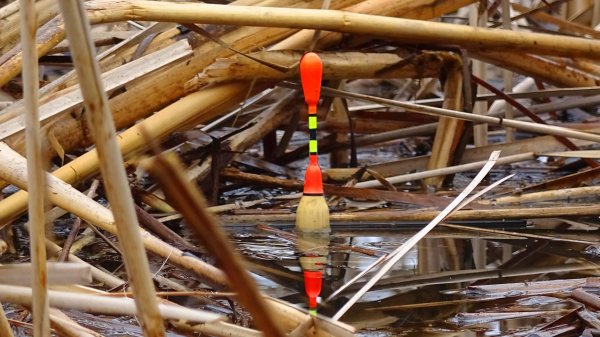 КРУПНЯК В ДЕБРЯХ ТРАВЫ на МОЁМ МЕСТЕ! ОНИ ЗАГИБАЮТ УДОЧКУ СИБИРИЯ! Рыбалка на поплавок