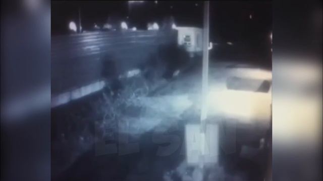 тигр продолжает гулять по улицам Артёма смотреть онлайн