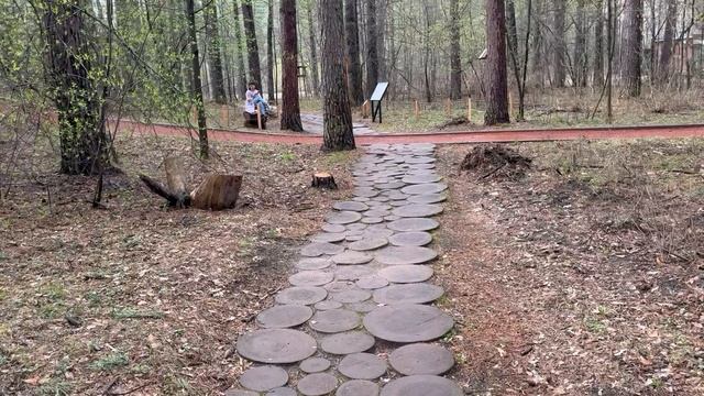 Секреты Заельцовского парка: Что скрывает Экотропа? 🌲 Новосибирск, Апрель 2025 смотреть онлайн