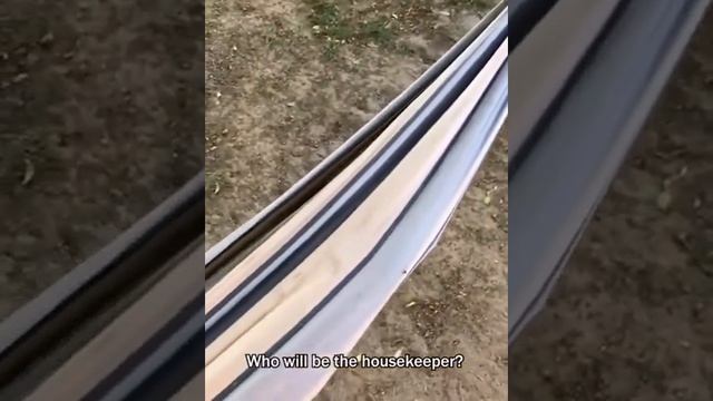 смешные собаки и кошки!!!! смотреть всем!!! оборжаться😂😂😂🤣🤣😂 смотреть онлайн