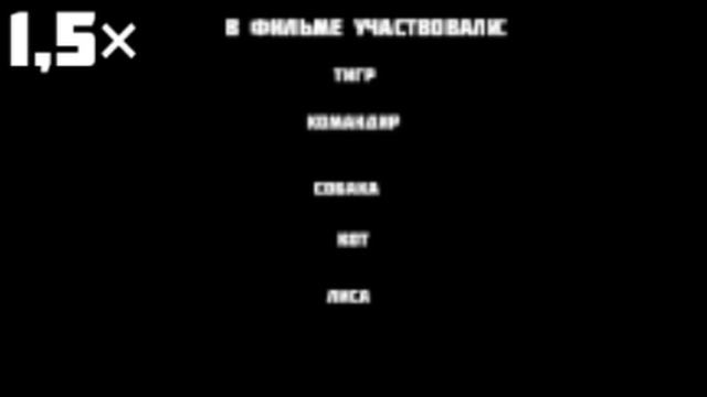 Титры Фильма Команда Miss To Miss To В разных скоростях смотреть онлайн